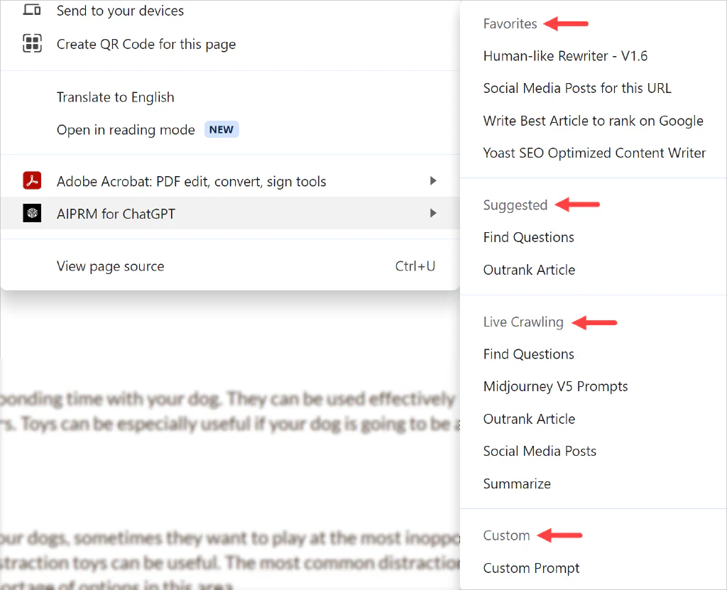 Capture d’écran des flèches pointant vers les titres des sections du menu AIPRM Everywhere